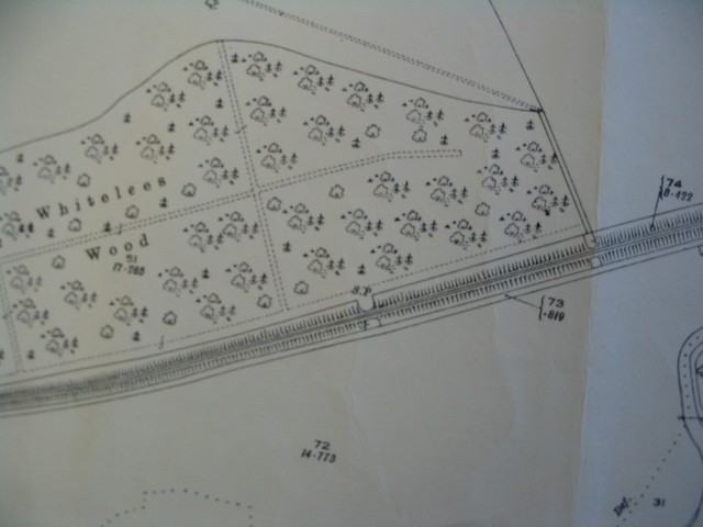 Image 21 of 27  -  122 kB